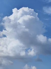 辦好自己的事，做好自己，解決問題時(shí)，不會(huì)委屈自己，委曲求全；也不會(huì)自私自利，凌駕于別人之上。有了這份自信就會(huì)找到雙贏的辦法。配圖