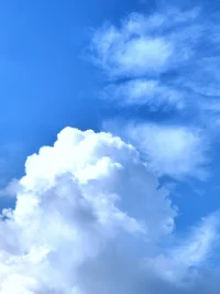 辦好自己的事，做好自己，解決問題時(shí)，不會(huì)委屈自己，委曲求全；也不會(huì)自私自利，凌駕于別人之上。有了這份自信就會(huì)找到雙贏的辦法。配圖