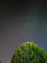 在心灵的舞台上，我是你的观众，也是你的助力。