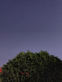 在心灵的舞台上，我是你的观众，也是你的助力。