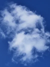 当我们活在当下的那一刻，才能斩断过去的忧愁和未来的恐惧；
当我们斩断过去的忧愁和未来的恐惧，才可以得到真正的自由。