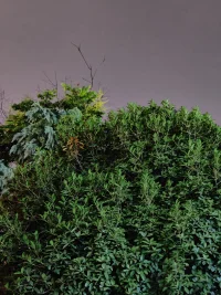 焦虑型的潜台词想要掌控
内耗型的潜台词想要成功
强迫型的潜台词追求完美
社恐型的潜台词是需要认同
付出型的潜台词是害怕被指责