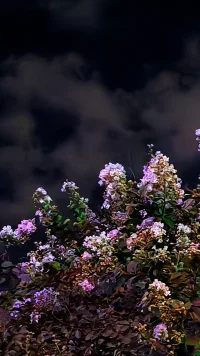 潜意识控制着我们的人生，我们却称之为命运。
