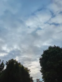 人生没有意义。若硬要赋予它意义，那就是在有限的生命里尽情去体验，感受每一朵花开的娇艳，聆听每一声鸟鸣的婉转，观赏江河山川的壮美……如此而已。