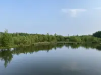 我多么希望，有一個門口
早晨，陽光照在草上
我們站著
扶著自己的門扇
門很低，但太陽是明亮的
草在結它的種子
風在搖它的葉子
我們站著，不說話
就十分美好配圖