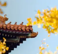云收夏色
木葉動秋配圖