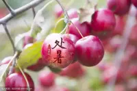 處暑 
七月十九
甲辰 壬申 戊午
緩酌樽中酒
容調膝上琴配圖