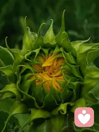 [月亮]「 親愛的你，晚安嘍 」[月亮]

心態(tài)是你最好的風(fēng)水
心態(tài)好一點(diǎn)
生活簡單點(diǎn)
心地善良樸素
幸福自然就多一點(diǎn)配圖