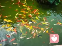 人生最好的狀態(tài)
就是把自己的心照顧好
充實(shí)于生活 平和于心態(tài)[愉快]配圖