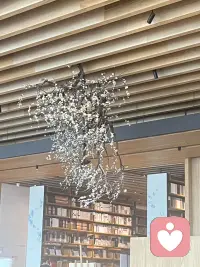 你是宇宙共同的創(chuàng)造者
你人生的每一件事物

包括：健康、人際關(guān)系的質(zhì)量、物質(zhì)狀況、對生活的滿足與否、工作等，都直接反映出你目前如何運用你開創(chuàng)的力量......配圖