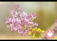 [咖啡]日簽心語:
生活就是一只看不見的儲蓄罐
我們投入的每一份努力
TA都清清楚楚的
為我們保存著呢[禮物]配圖