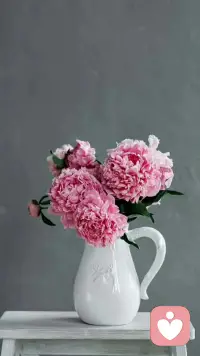 [咖啡]日簽心語(yǔ):
這一生我們風(fēng)雨兼程
就是為了更好的遇見(jiàn)
那個(gè)期盼已久真實(shí)的自己[擁抱]配圖