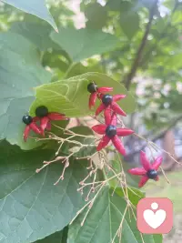 大路走盡還有數不盡的小路

可以慢，但是不要停下來

就有數不盡的風光配圖