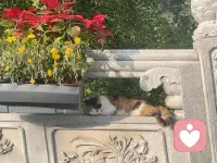 [咖啡]日簽心語:
一個人獨(dú)處的時候
不用顧慮也無需偽裝
可以做任何想做的事情
也可以不做任何的事情[害羞]配圖