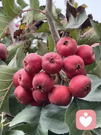 [咖啡]日簽心語:
我們不必按照
別人的劇本過自己的人生
在自己的節(jié)奏里
踏踏實實過好每一天就好[慶祝]、配圖