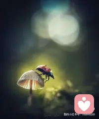 你只管跳舞，不用管比賽和名次。真正的高手只陶醉自己的舞姿，享受這一場(chǎng)曼妙的音樂燈光給自己打造的感覺。剩下的那是別人要搶的，你不需要。配圖