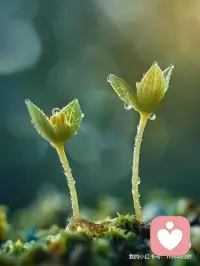 [咖啡]日簽心語(yǔ):
每天都是一個(gè)全新的開(kāi)始
無(wú)論昨天有多曲折
總會(huì)有彩虹??
出現(xiàn)在未來(lái)的天空配圖