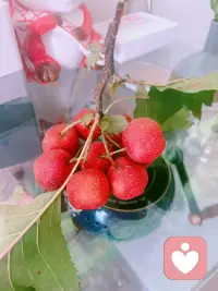 將生活嚼得有滋有味，
?
把日子過得活色生香，
?
往往靠得不只是嘴，
?
還要有你最珍貴的一顆心。配圖