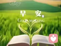 [咖啡]日簽心語:
愿我們看淡世事滄桑
內心仍安然無恙
微笑面對生活向陽而生
活出最燦爛的自己??配圖