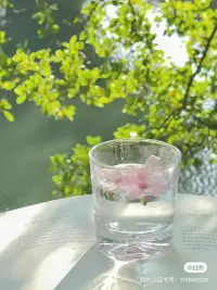 每天不一定都完美，
但總有美好在等著你。配圖