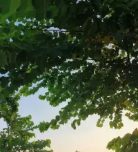 情緒是精神宣泄的出口，我們不能忽視它，但也不能受其控制，被其影響。尤其是負面情緒，當低落焦躁甚至迷茫，郁郁寡歡時，如果放任自己沉淪其中，很容易失去感知幸福的能力，所以一定要用具體行動來拯救自己，哪怕只是簡單微小的事情，但一定要動起來，才能不被情緒牽著走。配圖