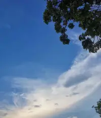 越優質的關系，越應該有規則，這個規則即便別人不說，也應該有那個意識和自覺性，明白人，懂事的人都不會主動去打破這個規則，既能保護好彼此的利益，又能讓感情和關系處于一個比較優質的狀態。配圖