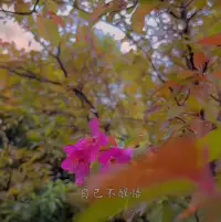 提升自己，把該做的事情做好，多看書，多學習工作上怎樣提升自己。當你的工作順利了，那會更自信，一切就會慢慢好起來配圖