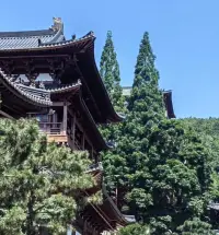 一個懂字就覆蓋了所有射程范圍之內，懂你的人自然懂，理解你的人當然會更包容你，只要伱不認為是怯弱退縮或更甚認為是在添，就是對對方的最好認可配圖
