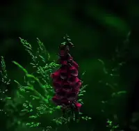 你只要有能力讓自己開心，不管哪一款老公你都能游刃有余，從一開始就不要把開心的事基于他人身上，畢竟期待少了看誰都順眼配圖