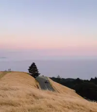 焦慮的最好緩解方式確實是行動，然而更加嚴重的焦慮會讓人喪失行動能力。焦慮的產生來自兩方面：現實情況，和對現實情況的不接納。后者是無底洞，因為精益還能再求精。焦慮的治本解法還是建議從修心入手，但也不能只修心。配圖