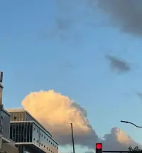 真正的愛，應當是溫暖的、包容的、滋養的。那些需要你在痛苦中咀嚼的愛意，是應當被舍棄的。配圖