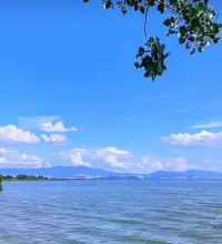 事實上，只要不是原則性問題，其他什么原因分手都是可以挽回的，像累積失望型，斷崖式都不難，會利用人性中的弱點的話，讓對方主動來找你配圖
