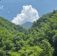 不停提醒自己要對她好一點，有時候放過自己，放下執念，其實對方就會同樣有好的回應。 最后你會發現人其實過不了的是自己.配圖
