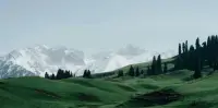 曾經以為溝通是關鍵 ，直到現在我意識到理解才是關鍵 ，你可以和別人交流你想要的一切 ，但如果他們不理解你或拒絕理解你 ，那溝通是無效的！配圖