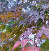 這個世界看似紛繁復雜，本質卻還是你一個人的世界。你只要做好自己，一切才會好，一切外物都是配合你的，不用去追逐。????配圖