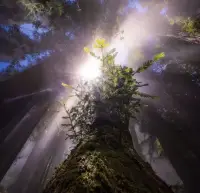 這個世界上最好的默契，并不是有人懂你說出來的故事。而是懂你說不出來的心事。一個懂你辛苦的人，勝過一群懂你笑的人。千言萬語，不如一句我懂你。配圖