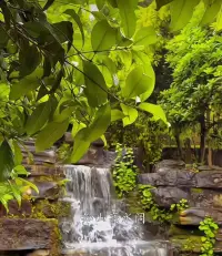 任何一種關(guān)系都可以用來照見自己內(nèi)在的缺失，找到了缺失就有療愈的機會，所以伴侶之間所有的問題都可以用來提升自己。假如是帶著傷痕累累，進去關(guān)系里一味索取，大部分會傷得更深更重，所以進入關(guān)系前一定要明白，自己沒有的，別人怎么做都滿足不了自己，要靠自己去發(fā)現(xiàn)去療愈。配圖