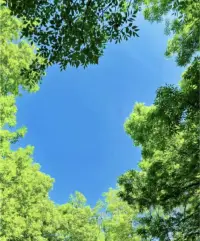 清醒的人其實是因為曾經(jīng)的不清醒但也想偶爾可以不清醒。理性的人其實是因為曾經(jīng)的不理性但也想偶爾可以不理性。配圖