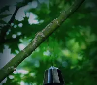 時間久了你會發現 ，任勞任怨的老實人都不會被認可，還得搞一身病 ，其實不是咱們的問題 ，確實是會哭的孩子有奶吃，咱應該適當的學會放下，撂挑子了 ，老實人當夠了！配圖