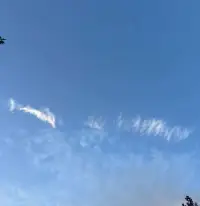 忠于自己的內心，勇敢的去追求自己想要的生活，不要把別人的態度和看法當成自己的行為準則。配圖
