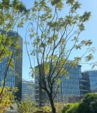 任何人之間都要保持應(yīng)有的邊界，不能因?yàn)楹苁炝耍P(guān)系很好，就胡說八道，管好嘴，有邊界感，人情往來要差不多對(duì)等，才能長遠(yuǎn)。配圖