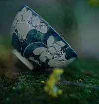 你一定要狠下心來去努力，努力變成一個很厲害的人，沒有必要讓別人知道你的計劃，退出不合適圈子，遠離不適合你的人，斷開不如意的感情，告別過去，做真實的自己。記住一句話，未來都是驚喜，你生來本應為高山，并非草芥。配圖