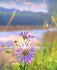 焦慮和焦慮癥我覺得是兩個概念，焦慮是一種正常情緒，人人都有，而焦慮癥是神經回路已經改變，思維定勢形成，多伴隨著軀體癥狀、驚恐、強迫等多種情況，焦慮癥的本質是怕死。配圖