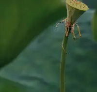 相處久了你就會發現，人與人之間最大的吸引力不是你的年齡，也不是你的光環，而是你傳遞給對方的溫暖和善良。希望生活不全是利益，更多的是相互成就，彼此溫暖。配圖