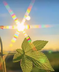 以前聽歌，聽的是旋律；后來聽歌，聽的是歌詞；再后來聽歌，聽的是故事；現在聽歌，聽的是自己。初聞不知曲中意，再聽已是曲中人，多想不做曲中人，奈何越聽越沉淪。配圖