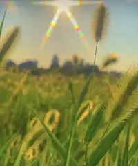 我們無法改變世界，但可以改變自己，我們所擁有的強大力量之一，就是不斷的進行自渡自愈的能力。配圖