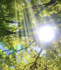 無論什么關系 ，我看不到我想要的態度 ，我就不會給你想要的細節 ，你表現的毫無興趣 我自然收回我所有的好。配圖