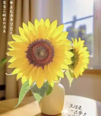 對的人，把你寵成孩子，錯的人，把你逼成瘋子，一生最重不過飽餐與被愛，一生所求不過溫暖與良人;一生所愛不過守護和相伴。配圖