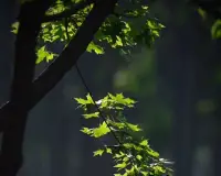 不要糾結別人愛不愛你 ，要考慮自己想要什么 ，要具體化 ，比如錢房子車子，而不是摸不到的所謂的沒用的愛配圖