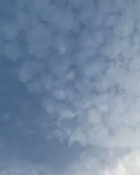 “什么是釋懷?釋懷，就是不亂于心，不困于情，不戀過往，不畏將來，錯過的別再留戀，擁有的好好珍惜，笑著向前走，不要總回頭，真正的釋懷會讓你一身輕，不糾纏，不執拗，做好自己，得之淡然，失之泰然，才能無悔亦無懼，安然過一生。”配圖